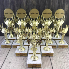 Статуетки нагороджувальні для загальнодержавного конкурсу піаністів Статуетки нагороджувальні для загальнодержавного конкурсу піаністів