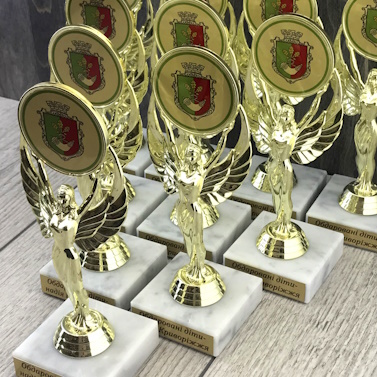 Призи, кубки, статуетки на корпоративні винагороди Призи, кубки, статуетки на корпоративні винагороди