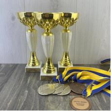 Статуетки нагородні на міський конкурс "Осінь 2025" Статуетки нагородні на міський конкурс "Осінь 2025"